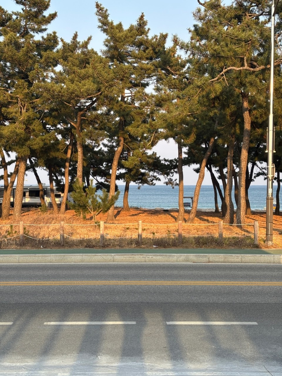 뷰바바