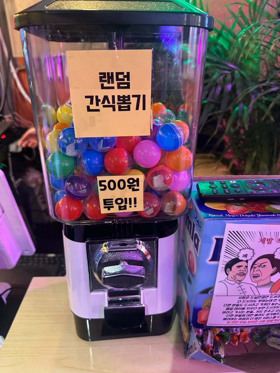 금까치포차