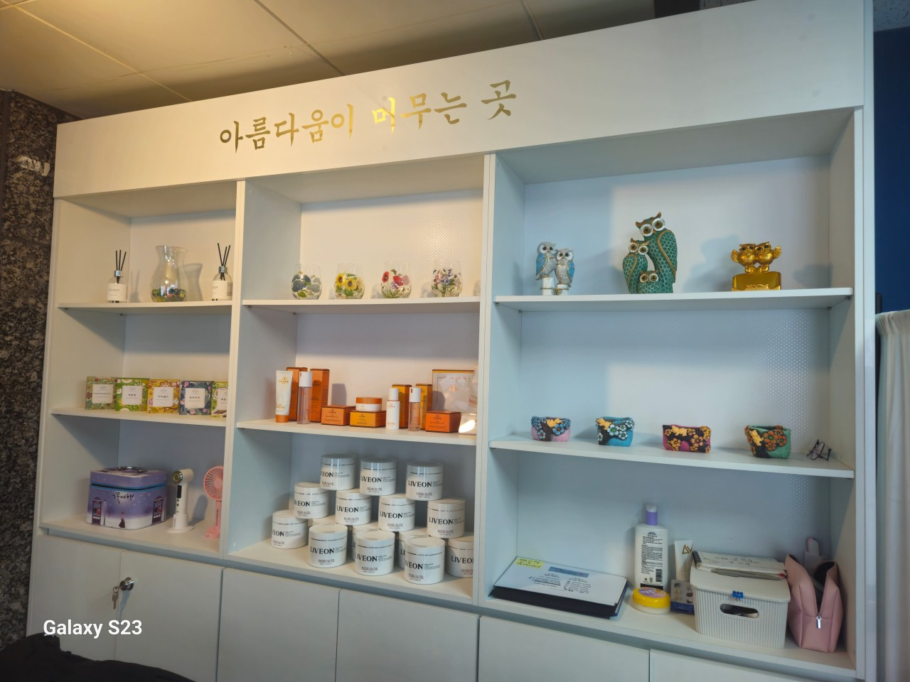 살아나는몸