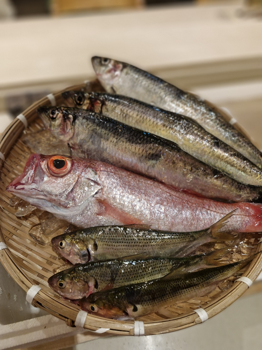텐주