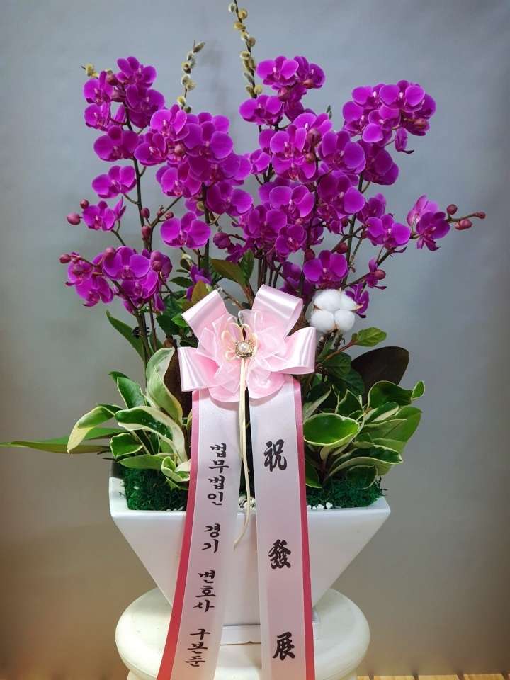 꽃나라화원