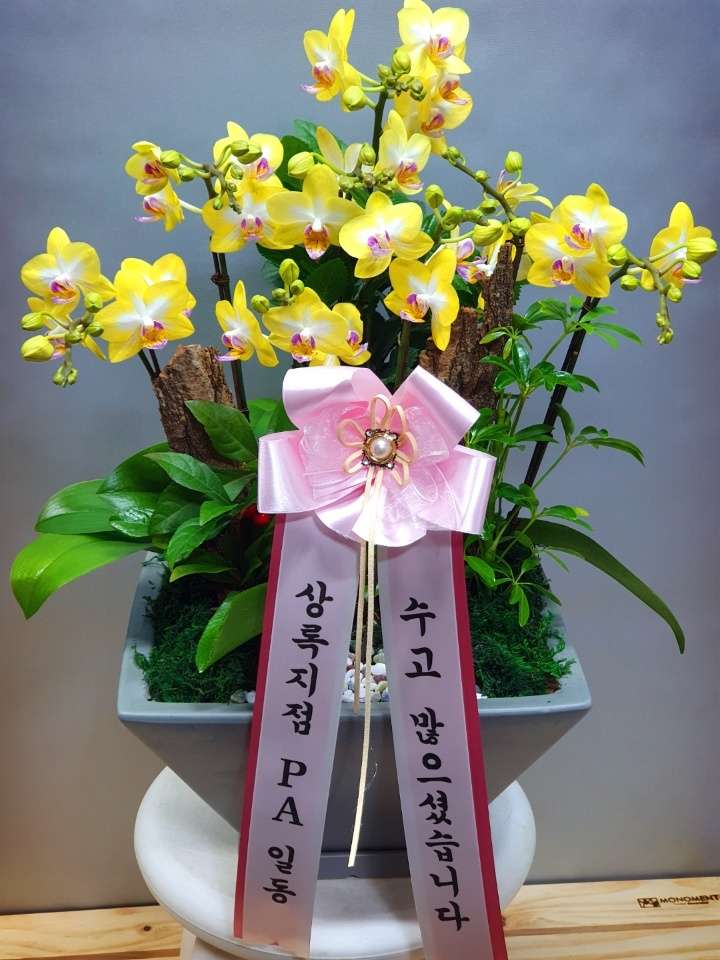 꽃나라화원