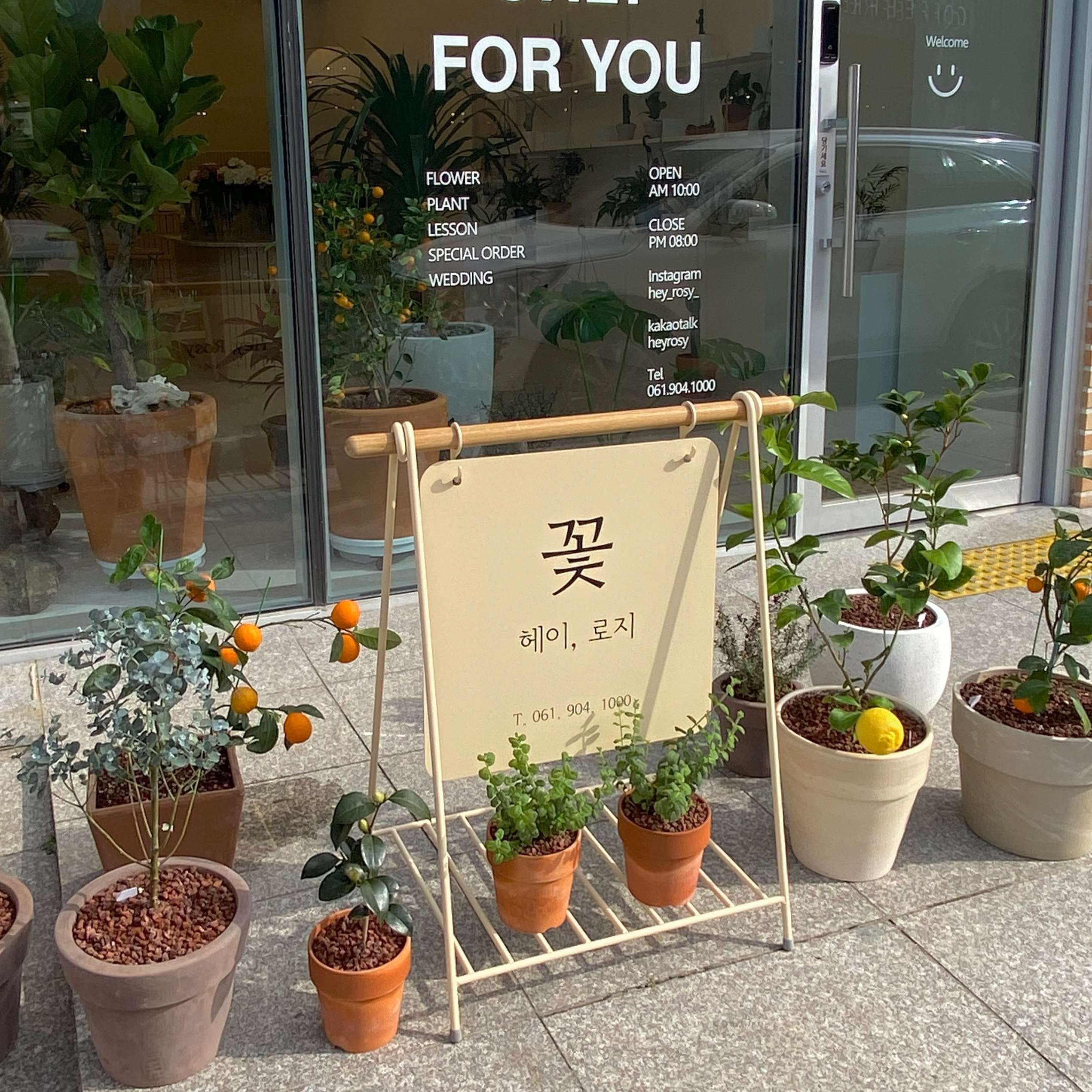 헤이로지