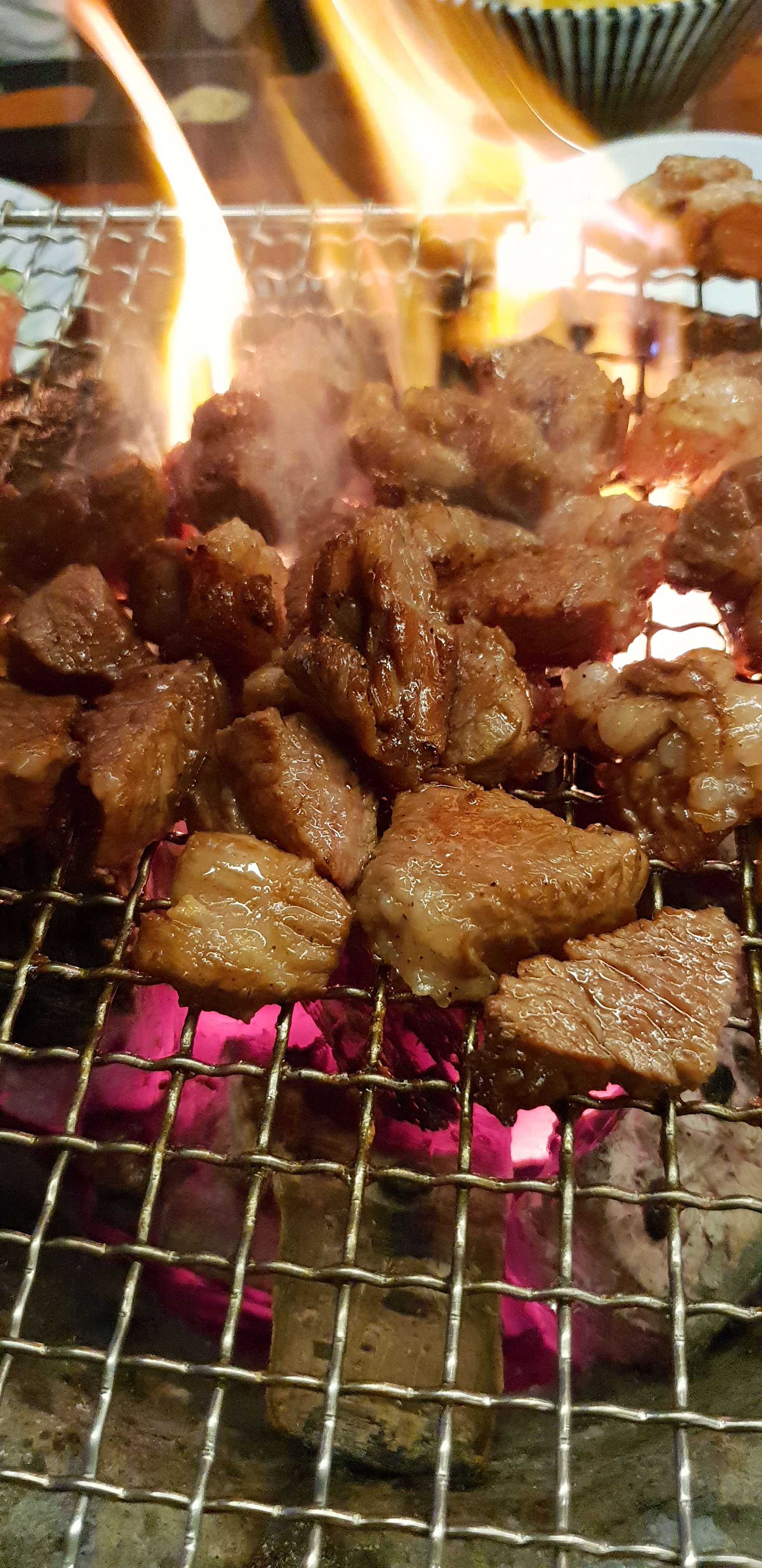 위대한양인동점