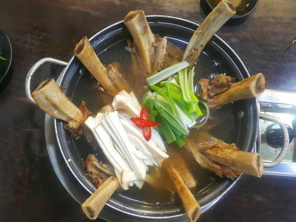 독토