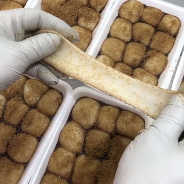 평화떡공방카페