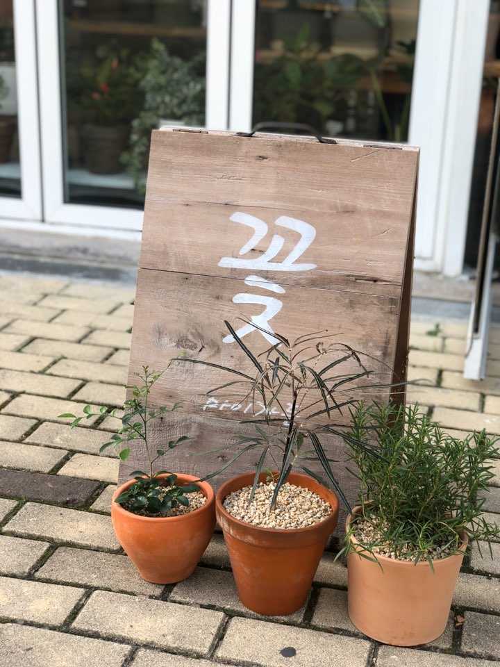 마이가든엠