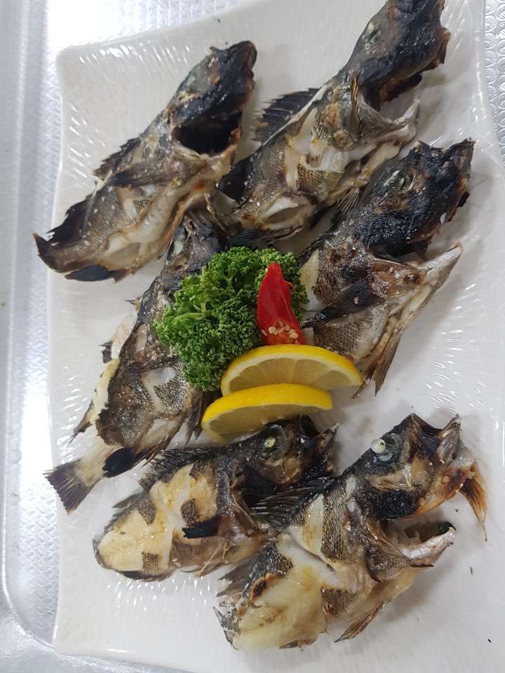 주구장창 막썰이 횟집