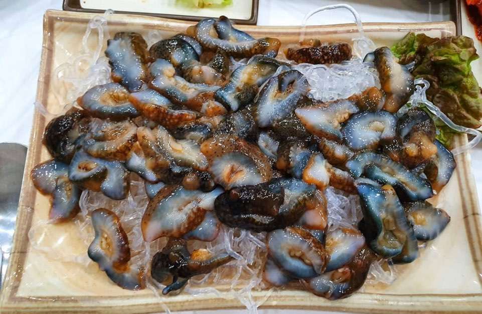 주구장창 막썰이 횟집