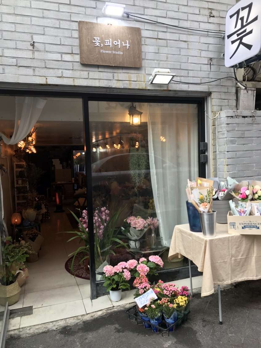 꽃,피어나