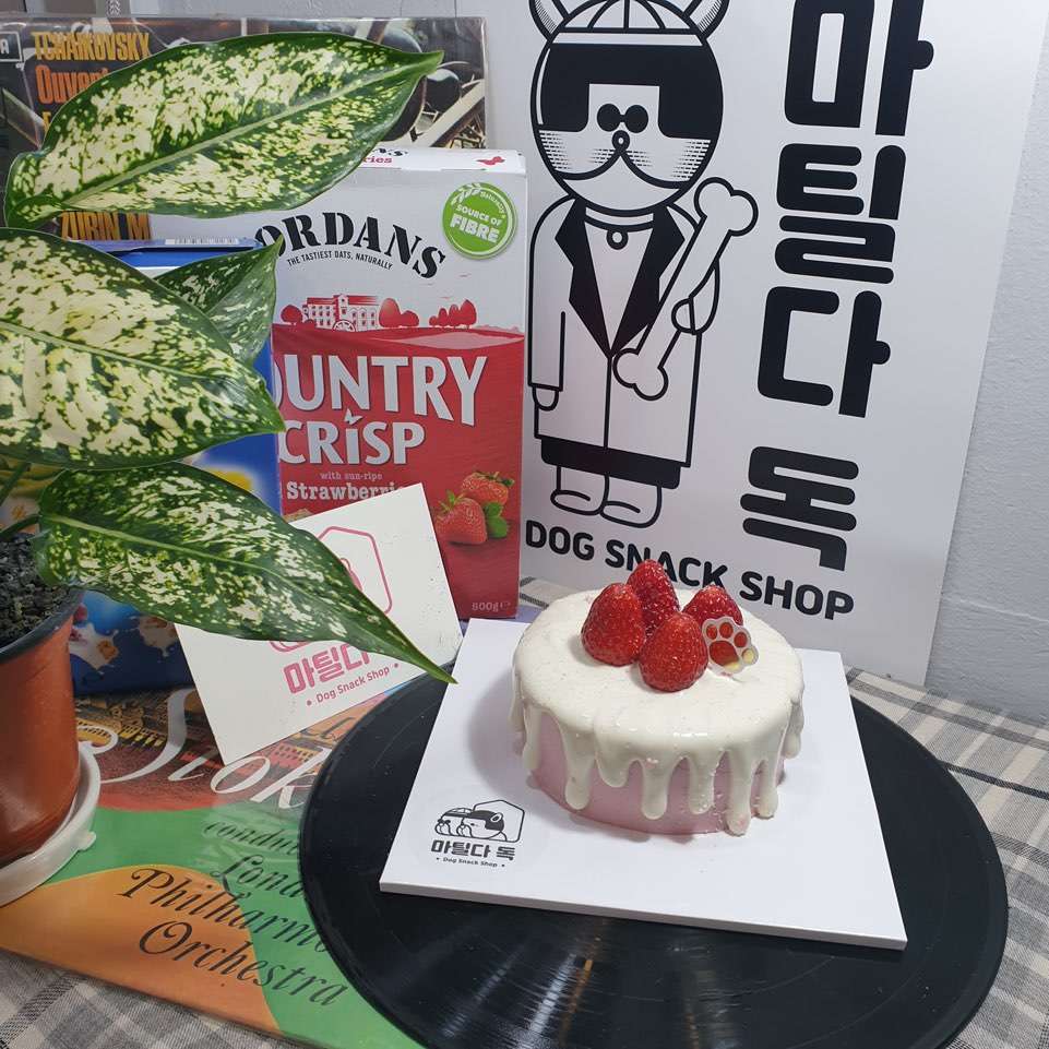 마틸다독