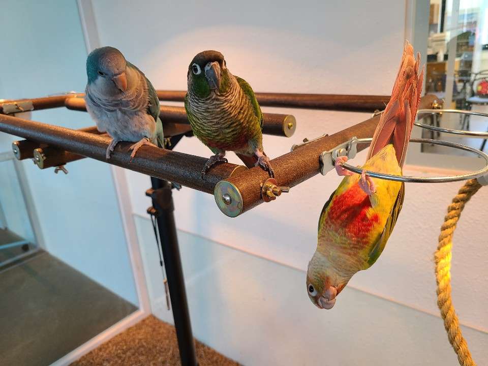 모들카페