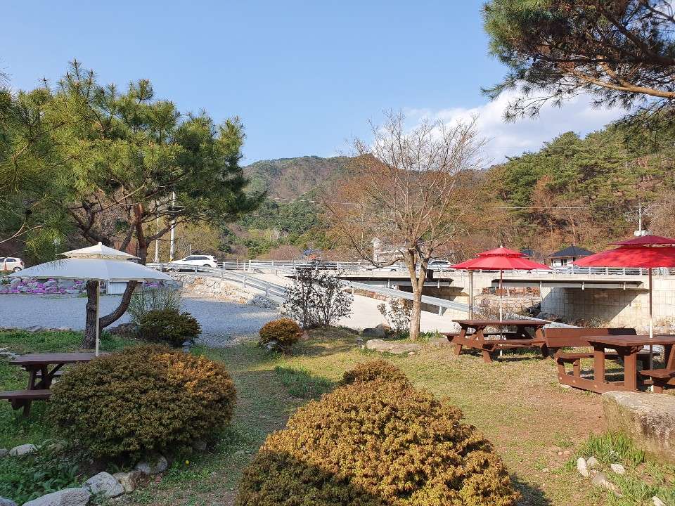 카페테라스