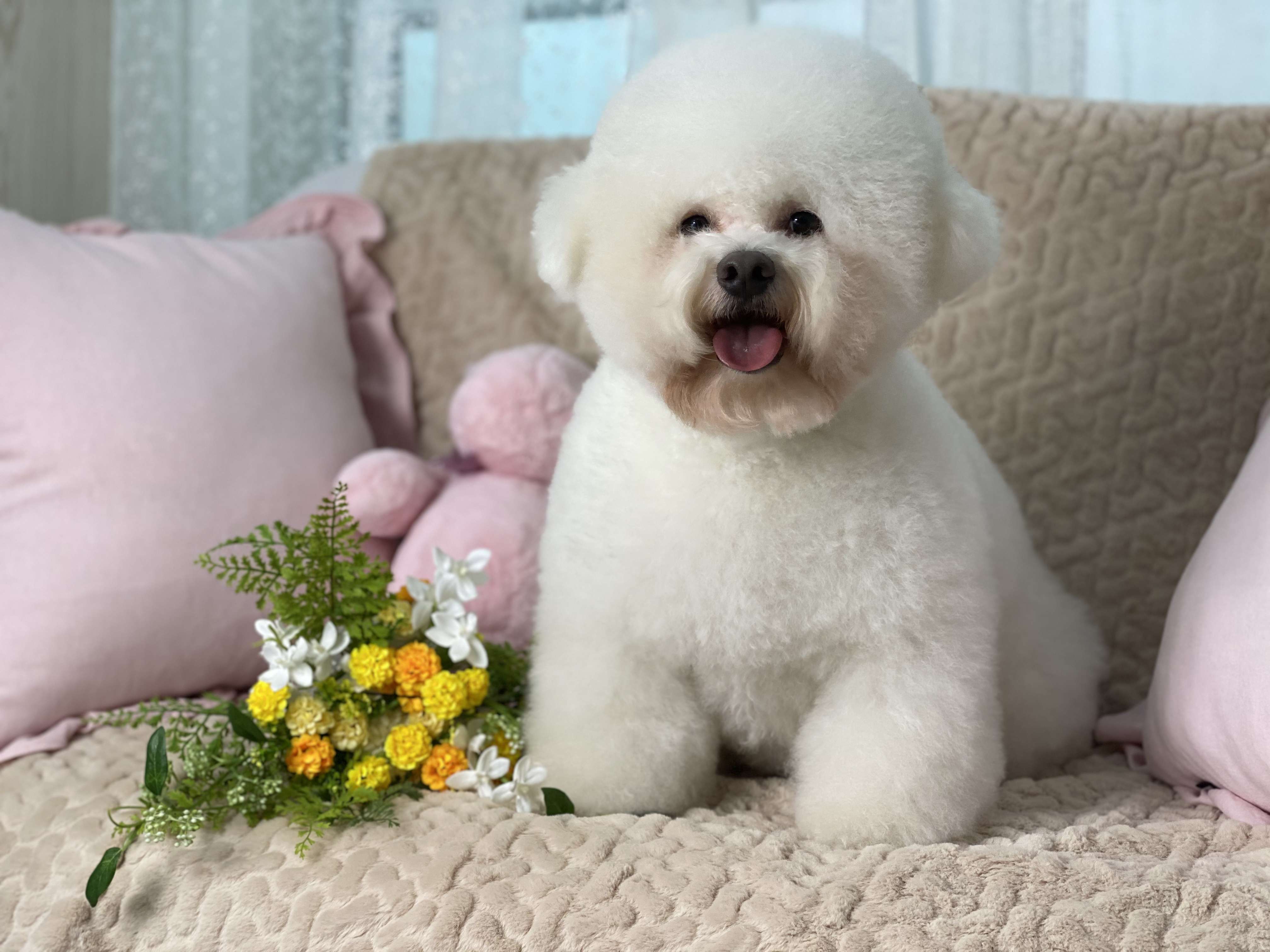 슈슈퍼피