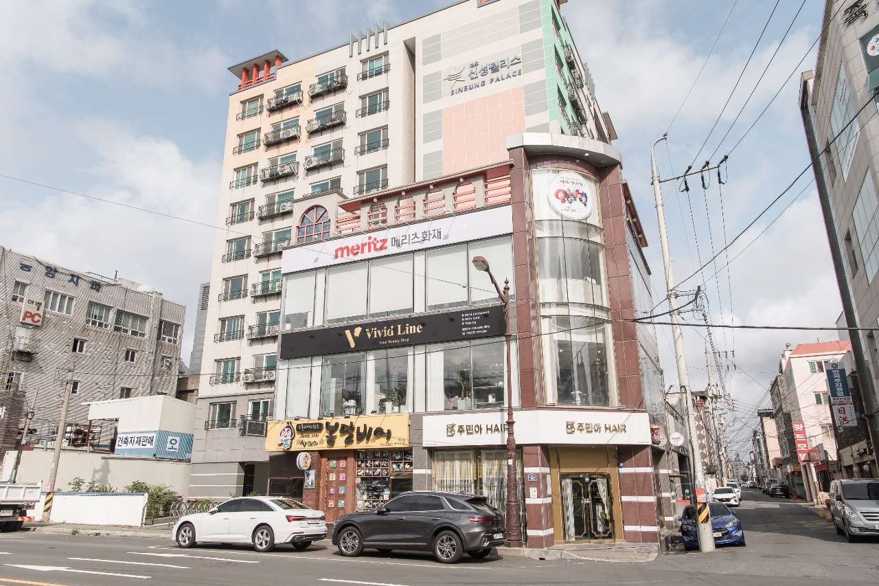 비비드라인