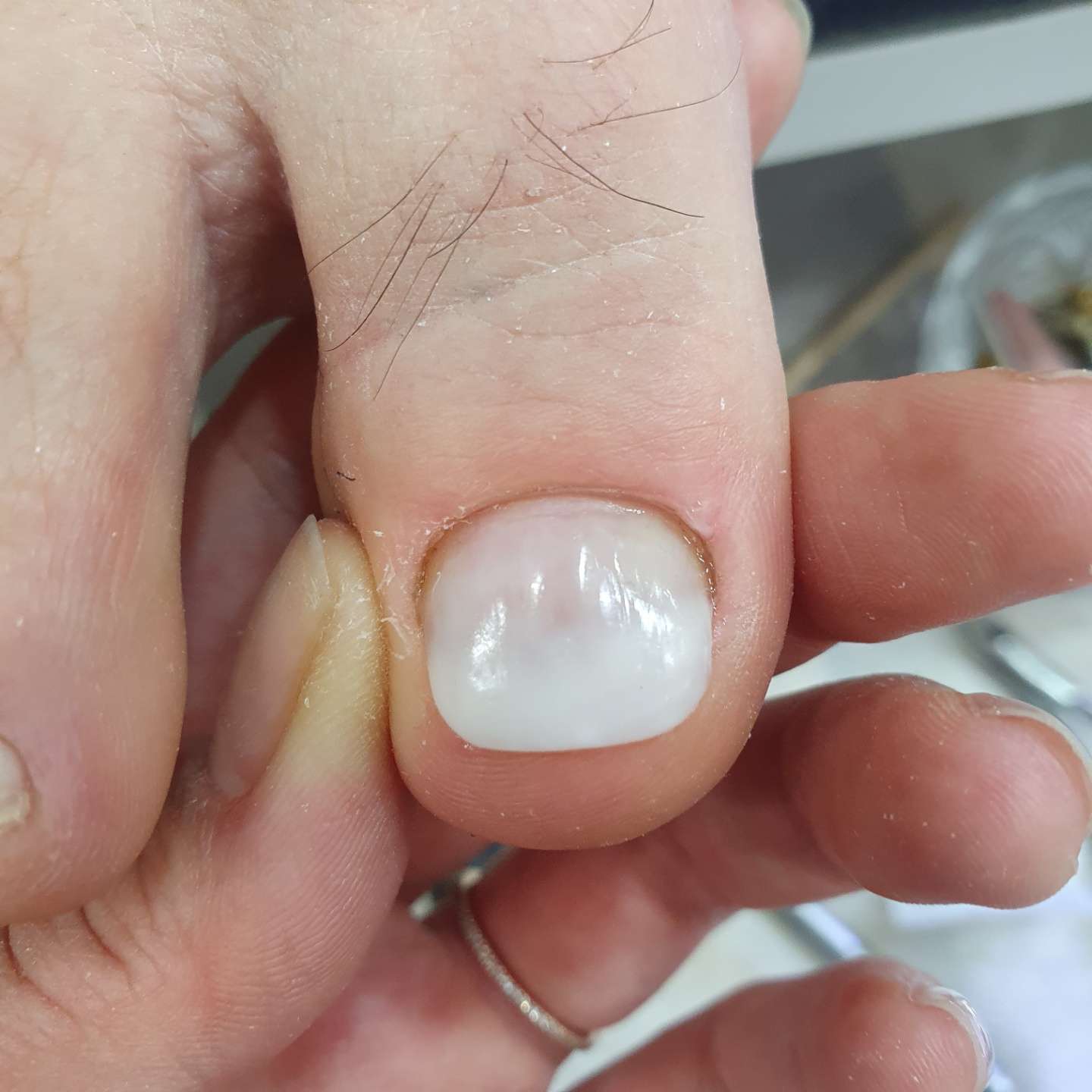 포쉬네일다산역점