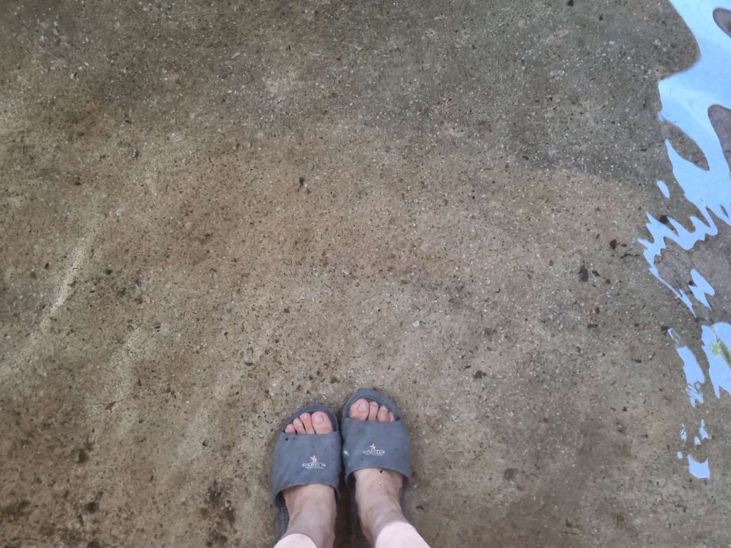 돌담펜션