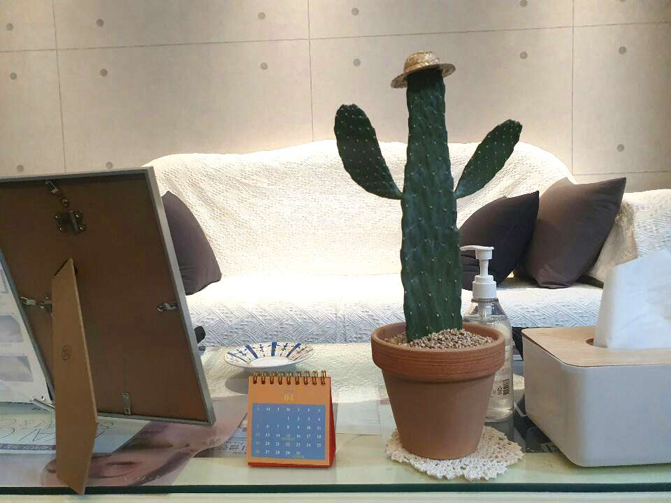 클라라에스테틱
