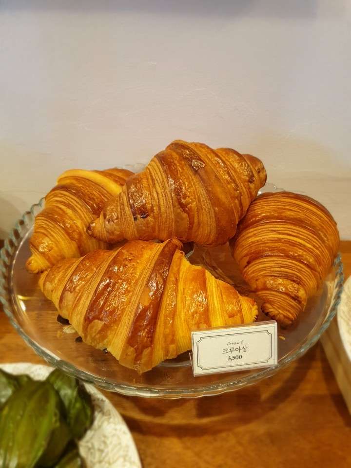 레파스
