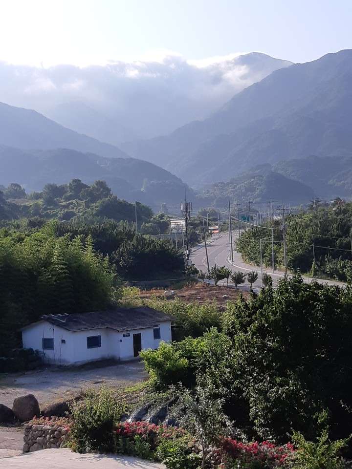 산수유꽃담길펜션