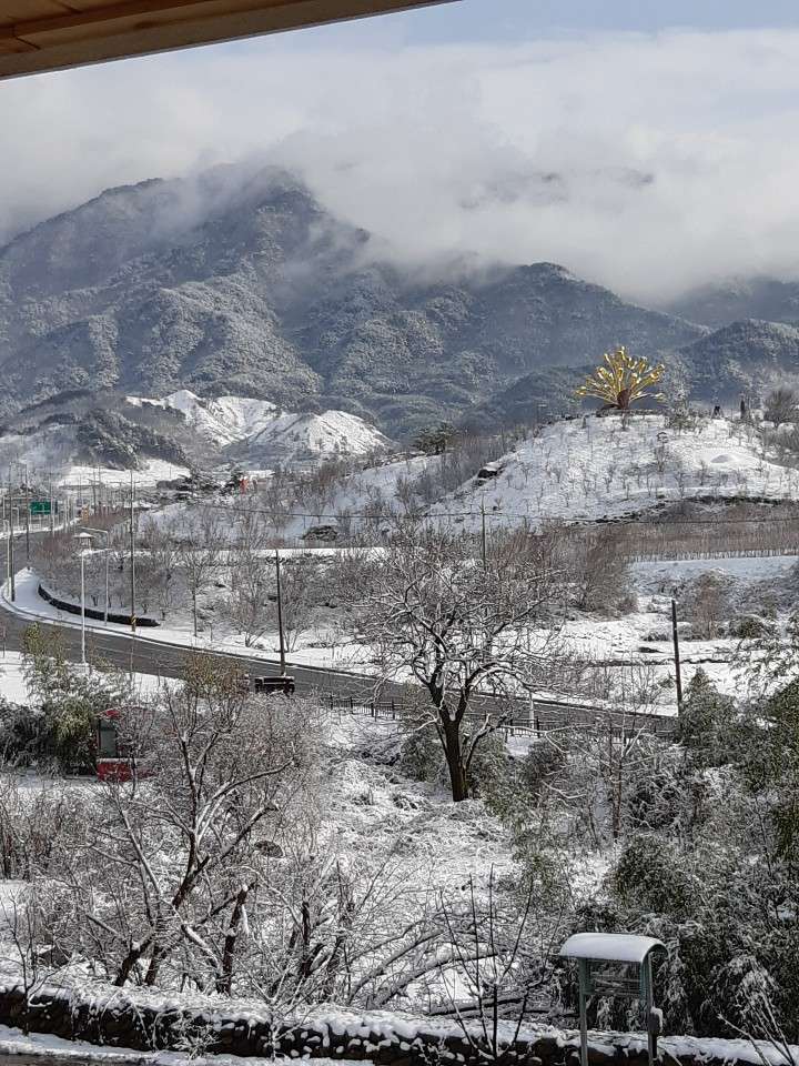 산수유꽃담길펜션
