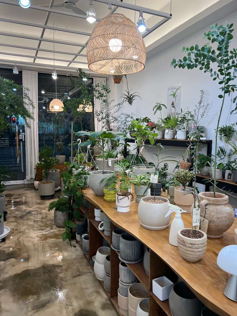 뉴그린