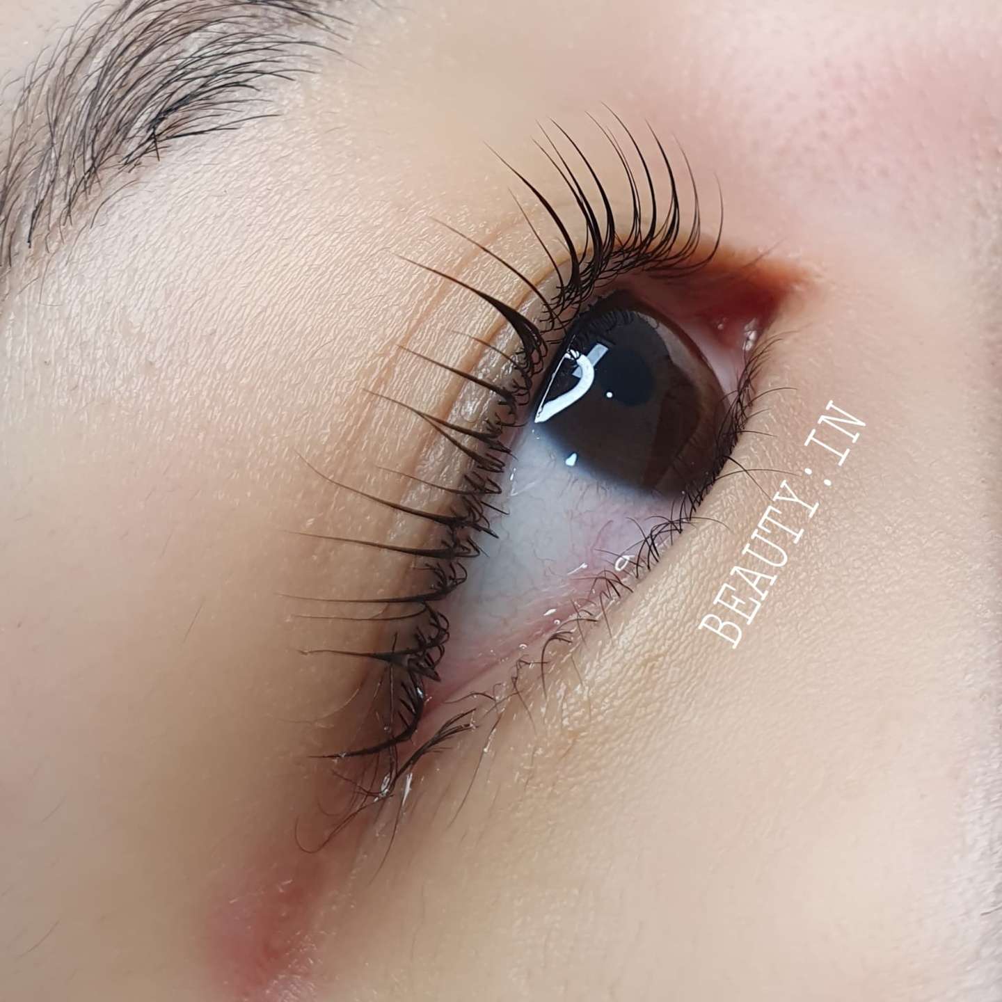 뷰티인