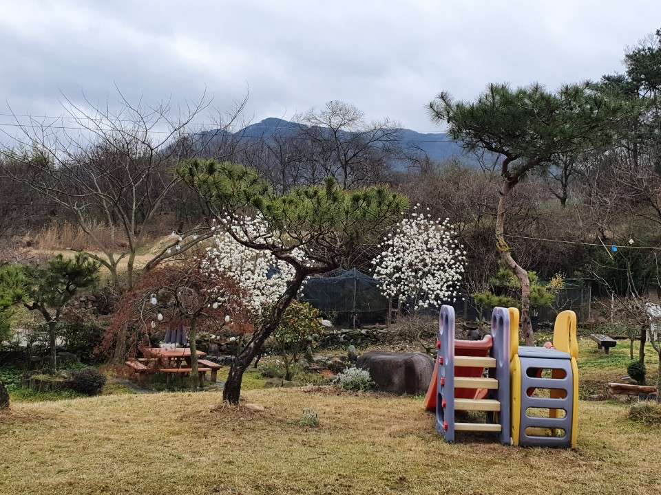 온배미황토흙집체험장펜션