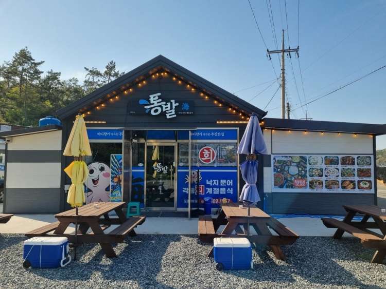통발