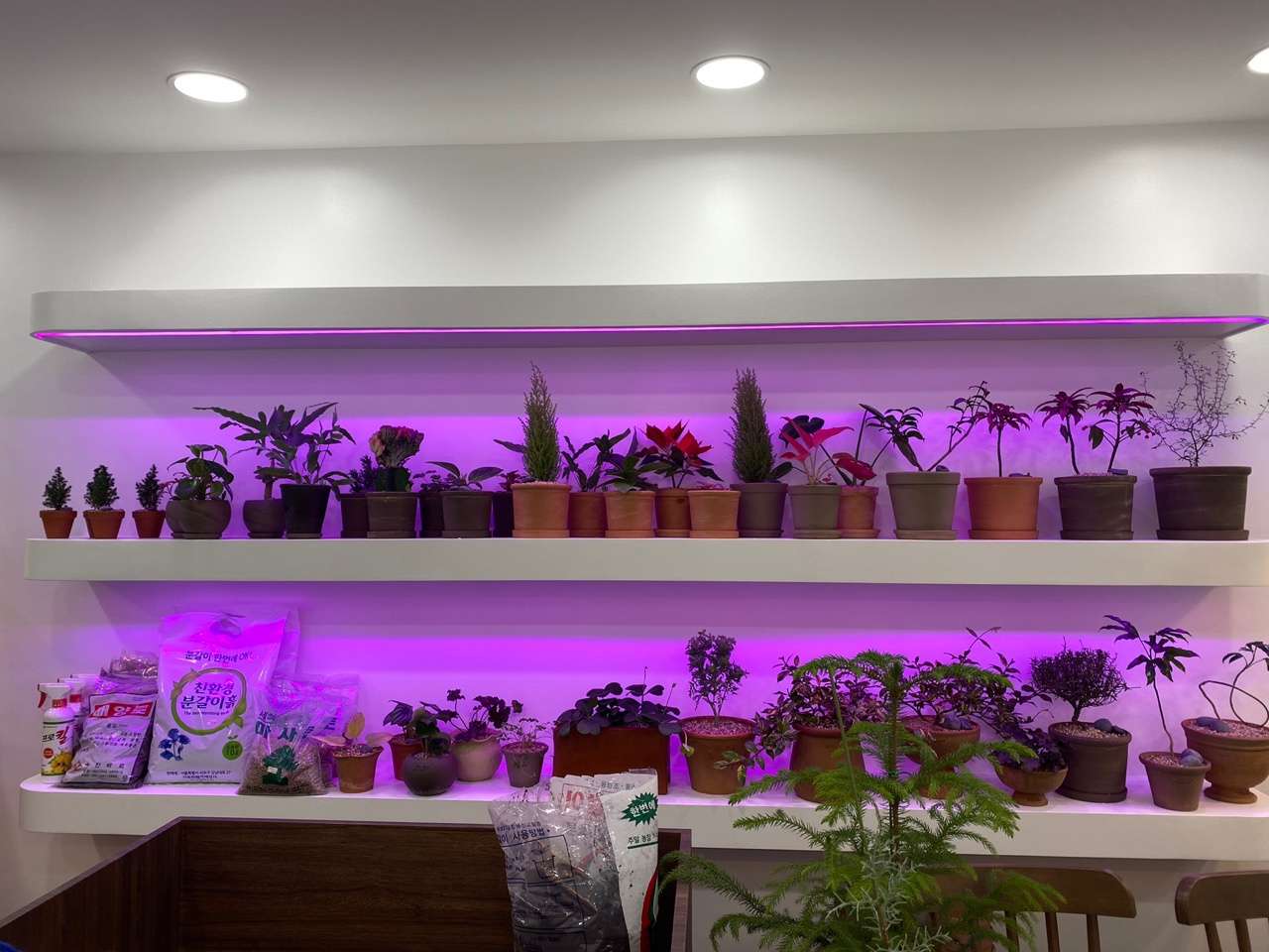 꽃사세요.꽃
