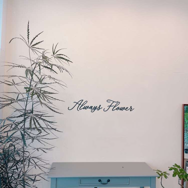 언제나꽃