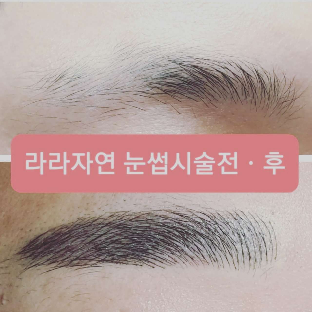 라라뷰티
