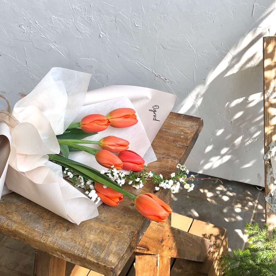 오그로드