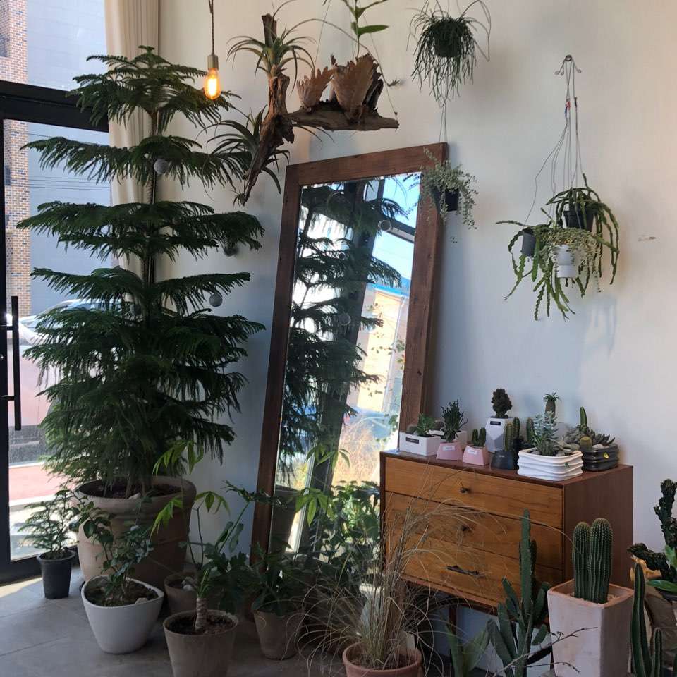오그로드