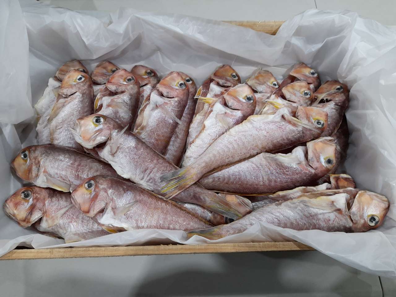 제주대박수산