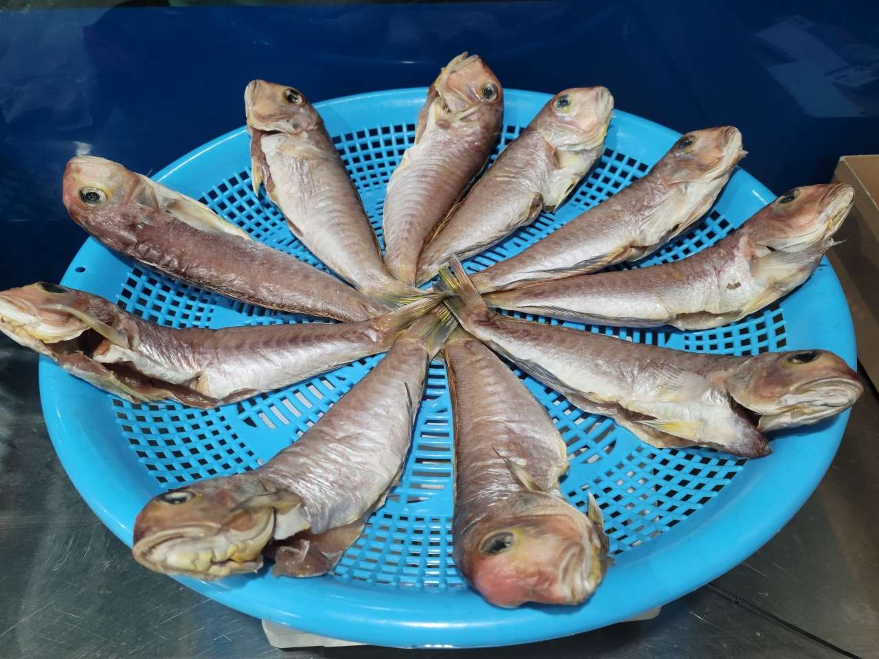제주대박수산