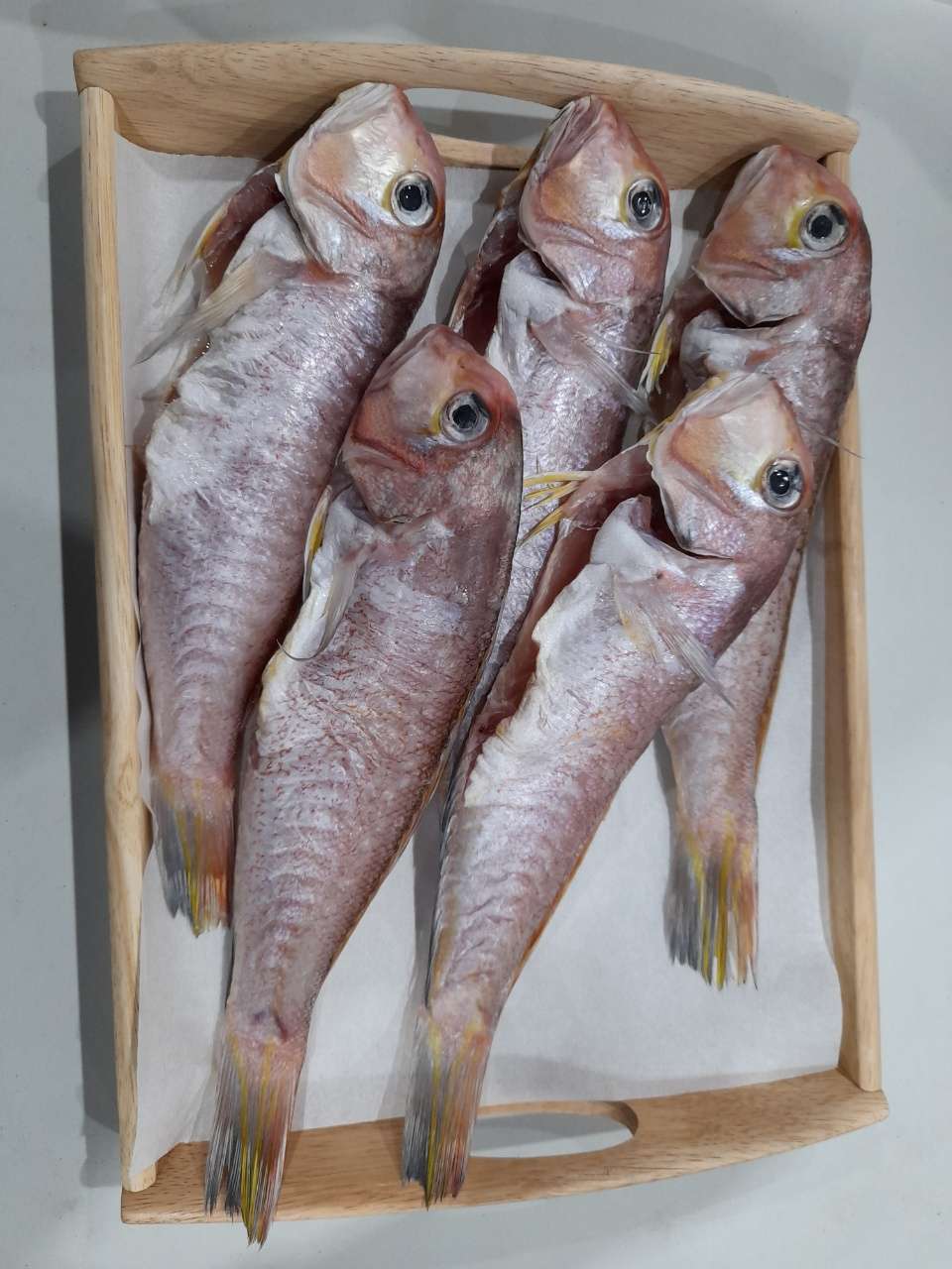 제주대박수산