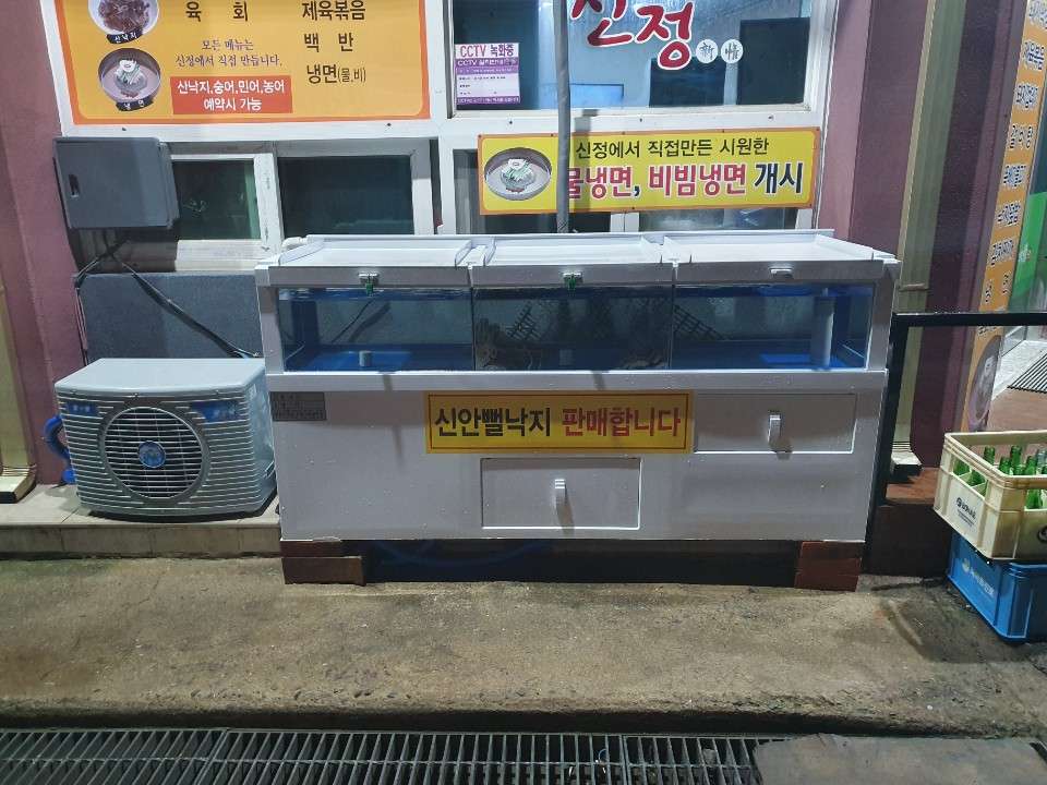 신정