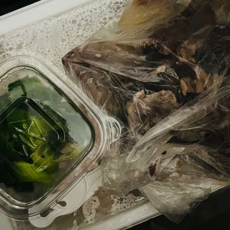 국나라