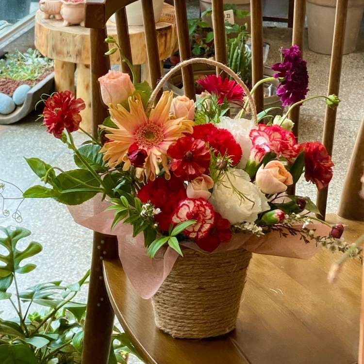 이플[잎을]