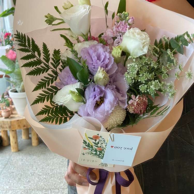 이플[잎을]