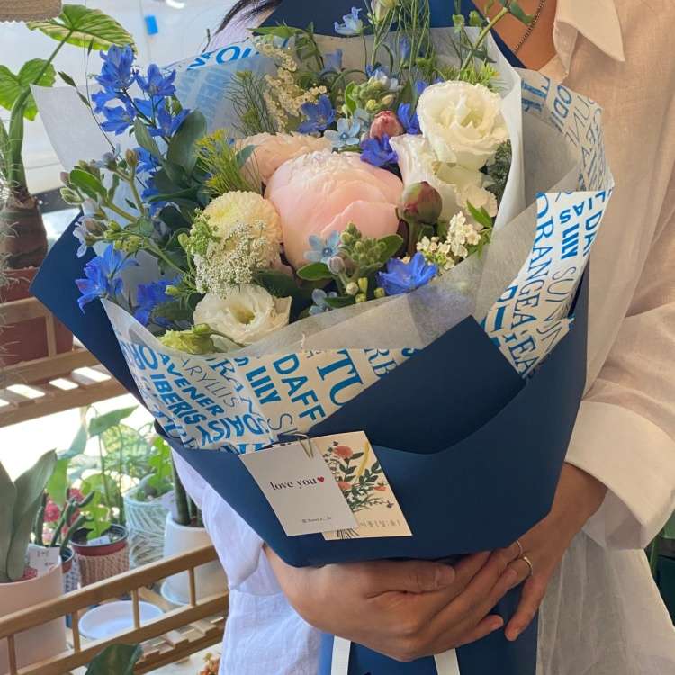 이플[잎을]
