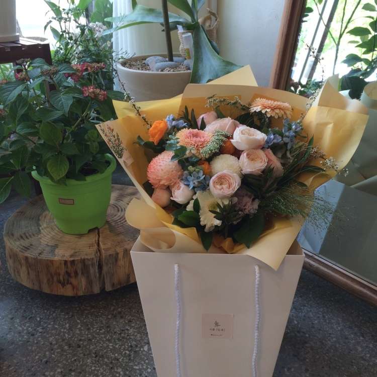 이플[잎을]