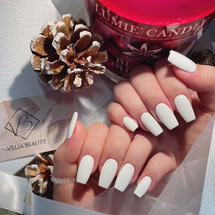 벨리아뷰티
