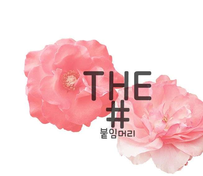 더붙임머리 송탄점