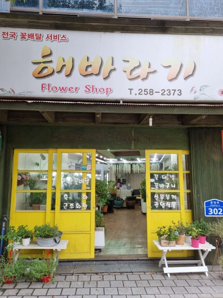 해바라기플라워
