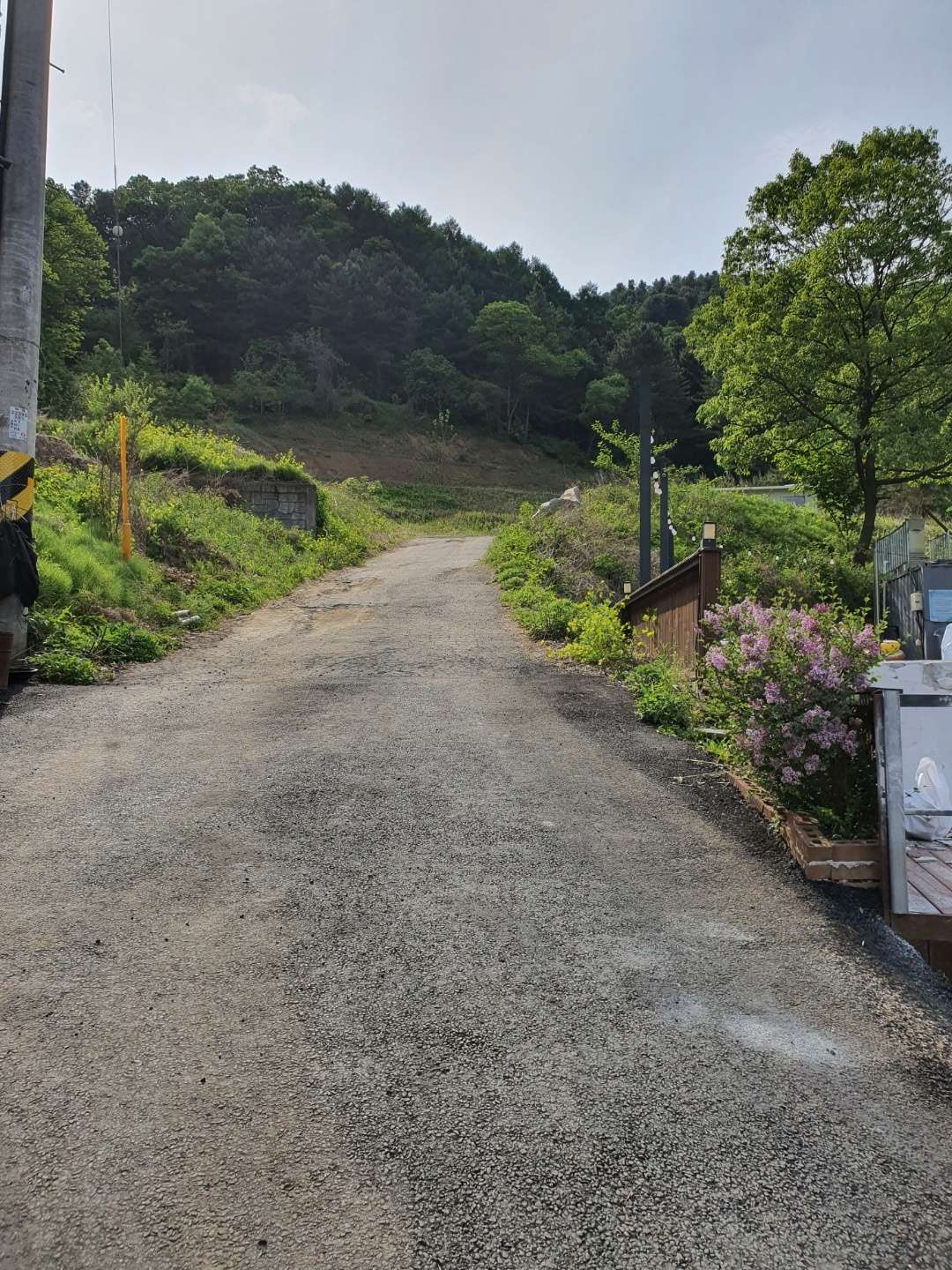 더리썸풀빌라