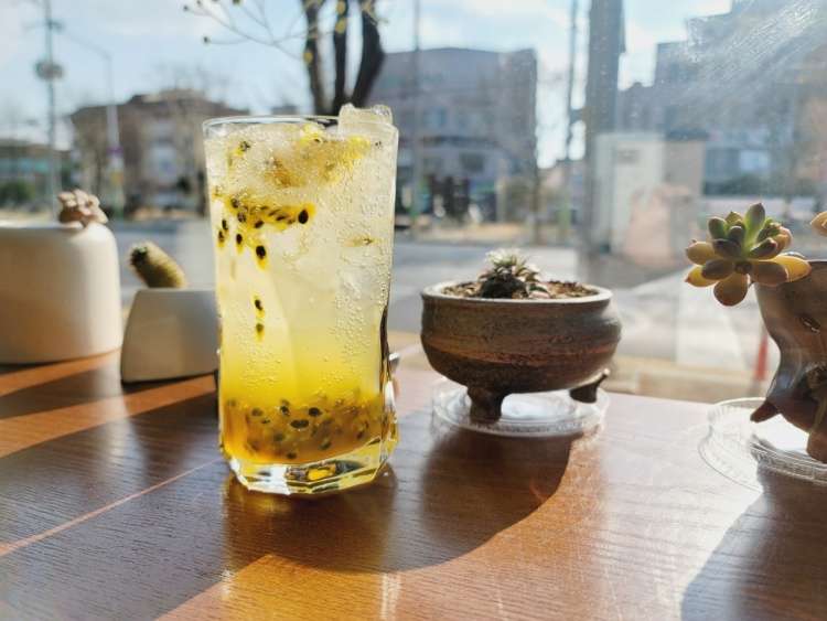 카페 베리스