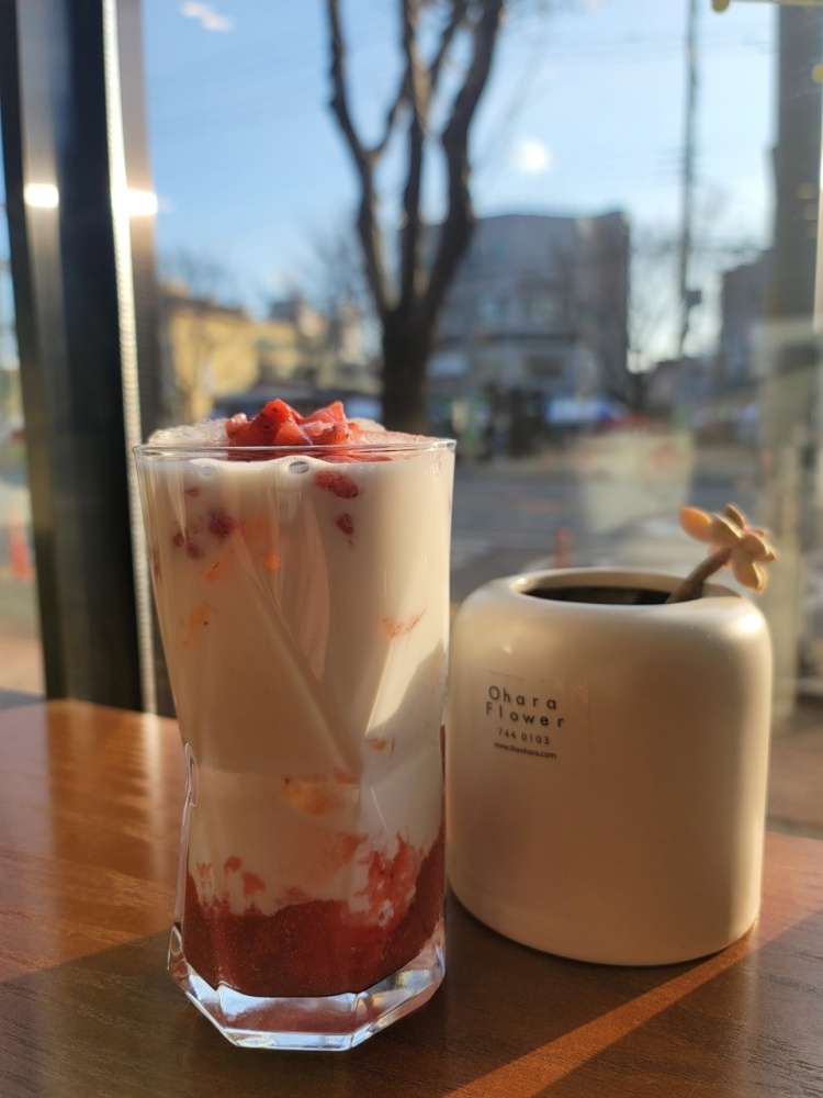 카페 베리스