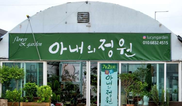 아내의 정원